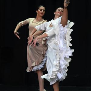 Fotografía de Muestra Graduación - Conservatorio de Danza