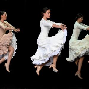 Fotografía de Muestra Graduación - Conservatorio de Danza