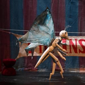 Fotografía de El circo de los insectos - 