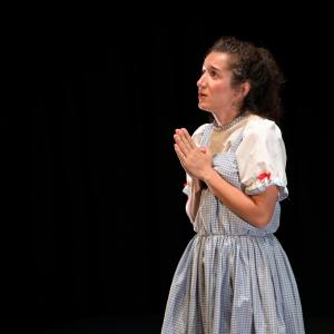 Fotografía de El Manual de la buena esposa - La Carpintería Teatral