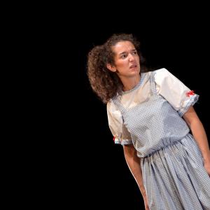 Fotografía de El Manual de la buena esposa - La Carpintería Teatral