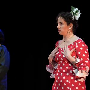 Fotografía de El Manual de la buena esposa - La Carpintería Teatral