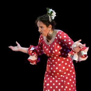 Fotografía de El Manual de la buena esposa - La Carpintería Teatral