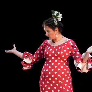 Fotografía de El Manual de la buena esposa - La Carpintería Teatral