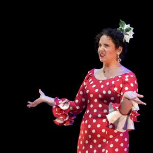 Fotografía de El Manual de la buena esposa - La Carpintería Teatral