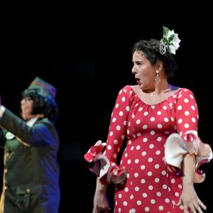 Fotografía de El Manual de la buena esposa - La Carpintería Teatral