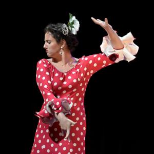 Fotografía de El Manual de la buena esposa - La Carpintería Teatral