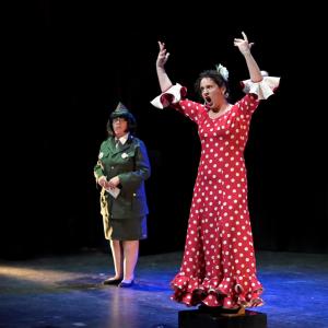 Fotografía de El Manual de la buena esposa - La Carpintería Teatral