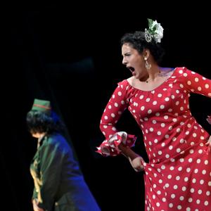 Fotografía de El Manual de la buena esposa - La Carpintería Teatral