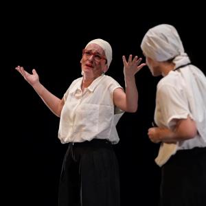Fotografía de El Manual de la buena esposa - La Carpintería Teatral