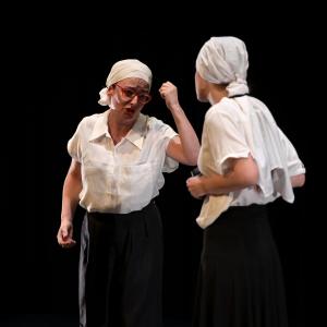 Fotografía de El Manual de la buena esposa - La Carpintería Teatral