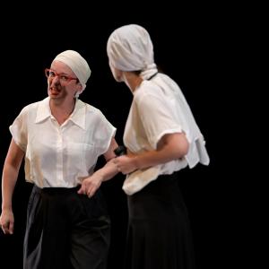 Fotografía de El Manual de la buena esposa - La Carpintería Teatral
