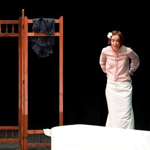 Fotografía de El Manual de la buena esposa - La Carpintería Teatral
