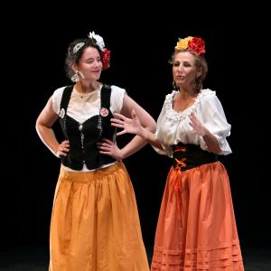 Fotografía de El Manual de la buena esposa - La Carpintería Teatral