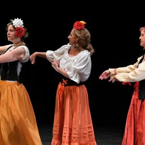Fotografía de El Manual de la buena esposa - La Carpintería Teatral