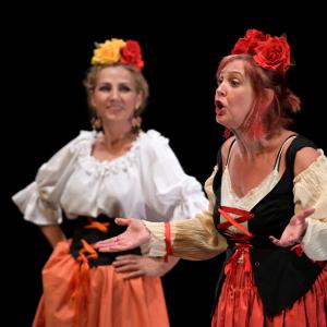 Fotografía de El Manual de la buena esposa - La Carpintería Teatral
