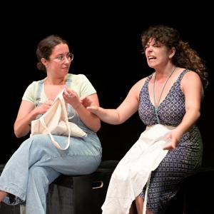 Fotografía de Contra el progreso, el amor y la democracia - La Carpintería Teatral