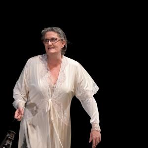Fotografía de El Perro del Hortelano - La Carpintería Teatral