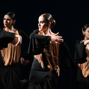 Fotografía de Muestra Flamenco - 