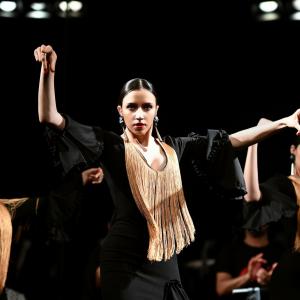 Fotografía de Muestra Flamenco - 