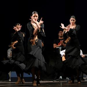 Fotografía de Muestra Flamenco - 