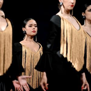 Fotografía de Muestra Flamenco - 