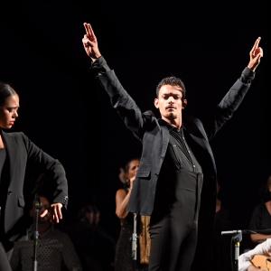 Fotografía de Muestra Flamenco - 
