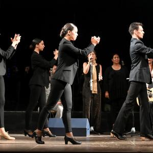Fotografía de Muestra Flamenco - 