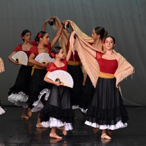 Fotografía de Muestra Danza Española - Conservatorio de Danza