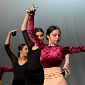 Fotografía de Muestra Danza Española - Conservatorio de Danza