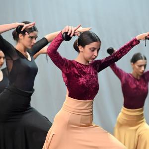 Fotografía de Muestra Danza Española - Conservatorio de Danza