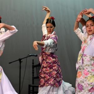 Fotografía de Muestra Danza Española - Conservatorio de Danza