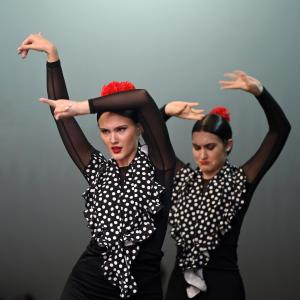 Fotografía de Muestra Danza Española - Conservatorio de Danza