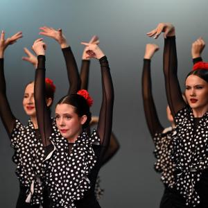Fotografía de Muestra Danza Española - Conservatorio de Danza