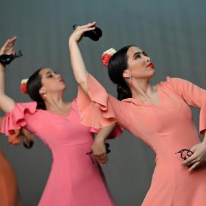 Fotografía de Muestra Baile Flamenco - Conservatorio de Danza