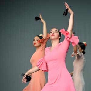 Fotografía de Muestra Baile Flamenco - Conservatorio de Danza