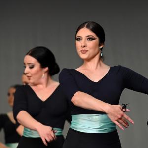 Fotografía de Muestra Baile Flamenco - Conservatorio de Danza