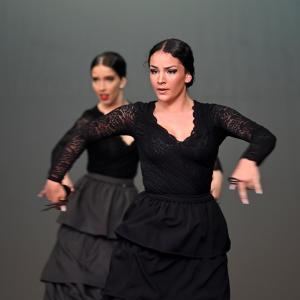 Fotografía de Muestra Baile Flamenco - Conservatorio de Danza
