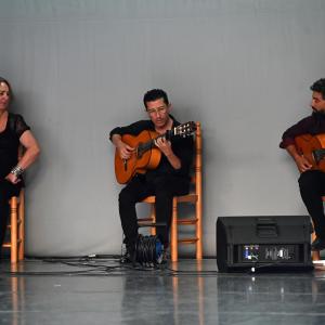 Fotografía de Muestra Baile Flamenco - Conservatorio de Danza