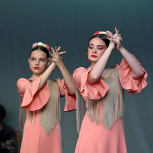 Fotografía de Muestra Baile Flamenco - Conservatorio de Danza