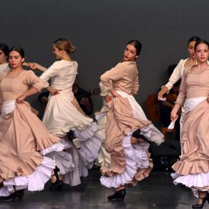 Fotografía de Muestra Baile Flamenco - Conservatorio de Danza