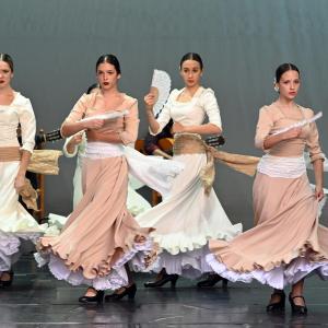 Fotografía de Muestra Baile Flamenco - Conservatorio de Danza