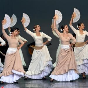 Fotografía de Muestra Baile Flamenco - Conservatorio de Danza