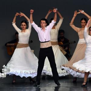 Fotografía de Muestra Baile Flamenco - Conservatorio de Danza