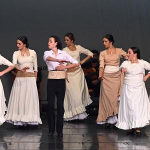 Fotografía de Muestra Baile Flamenco - Conservatorio de Danza