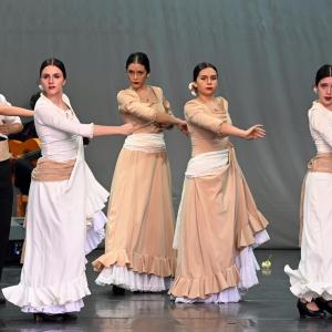 Fotografía de Muestra Baile Flamenco - Conservatorio de Danza