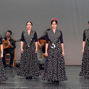 Fotografía de Muestra Baile Flamenco - Conservatorio de Danza