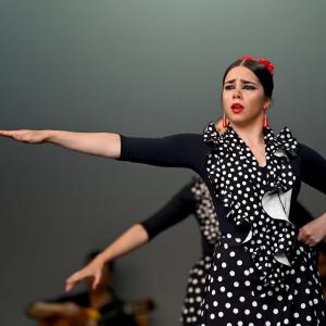 Fotografía de Muestra Baile Flamenco - Conservatorio de Danza