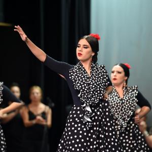 Fotografía de Muestra Baile Flamenco - Conservatorio de Danza
