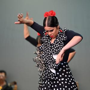 Fotografía de Muestra Baile Flamenco - Conservatorio de Danza